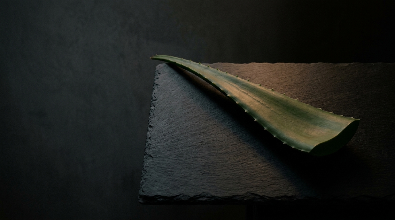 Meria — Skin and Hair Care That Proves It on the Label